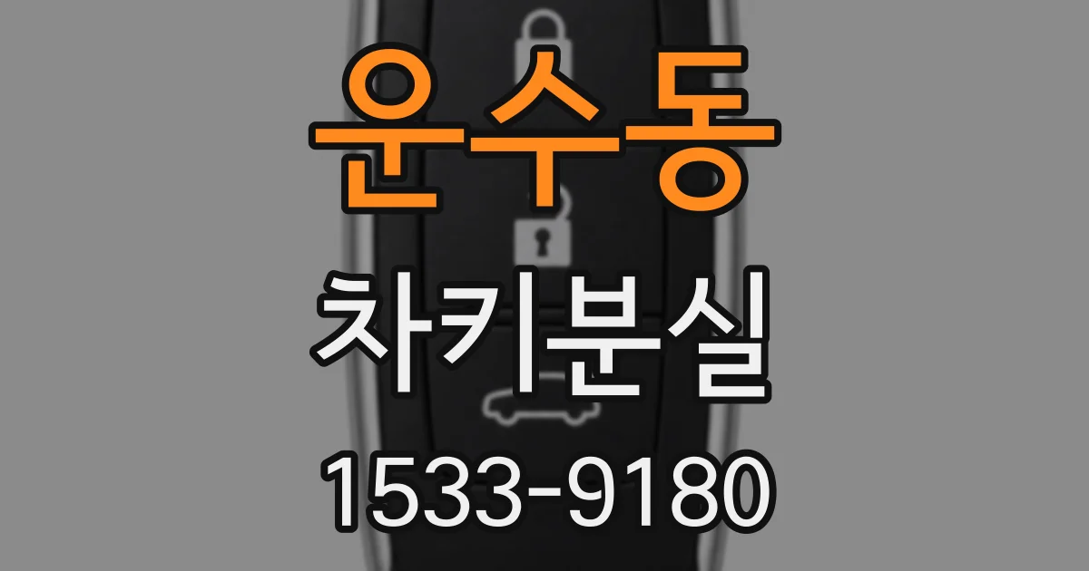 운수동 차키분실