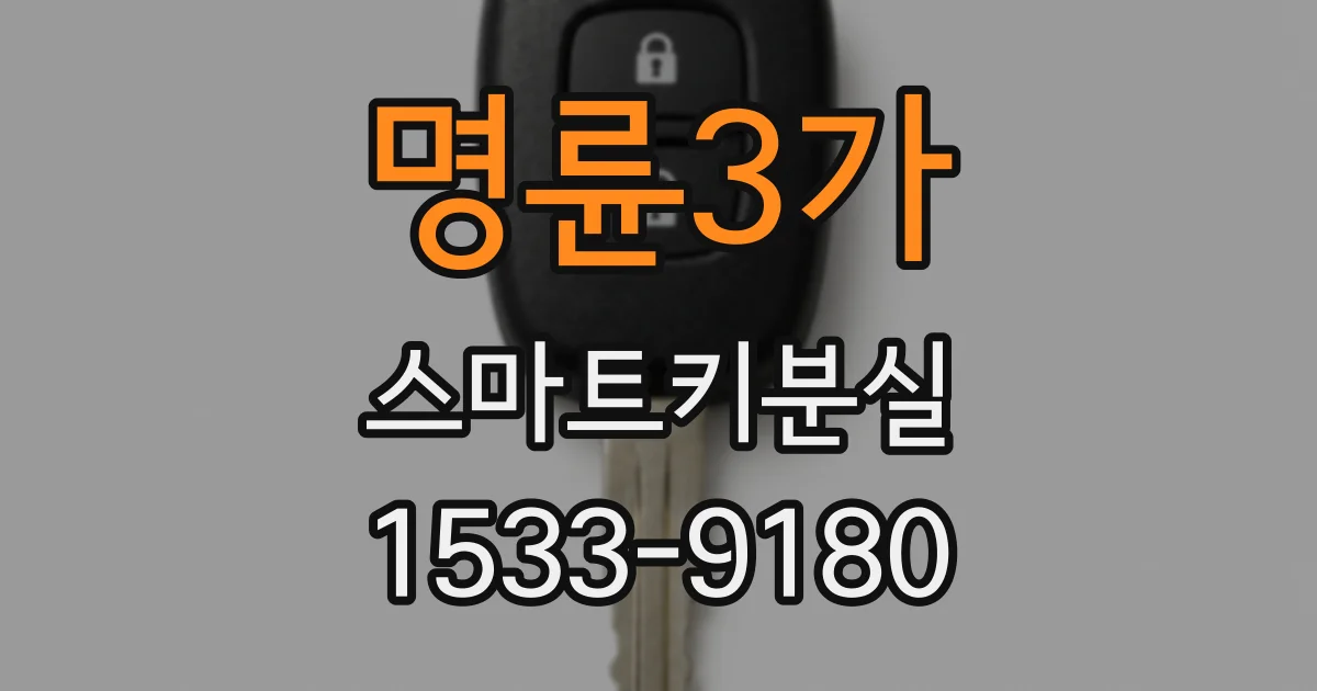 명륜3가 스마트키분실
