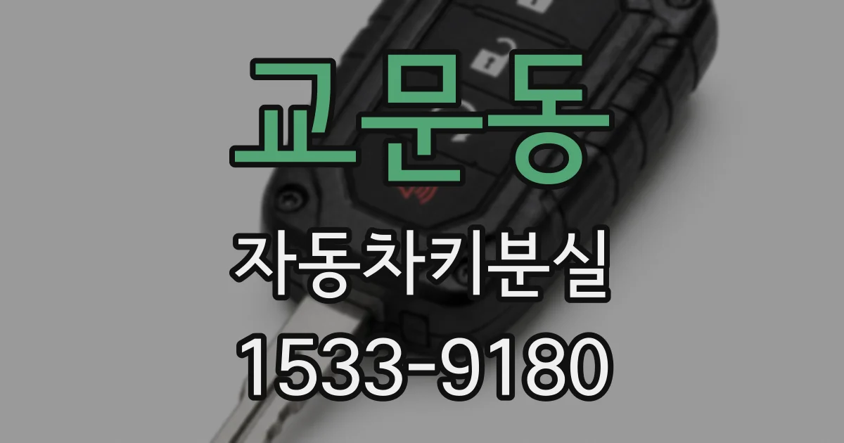 교문동 자동차키분실