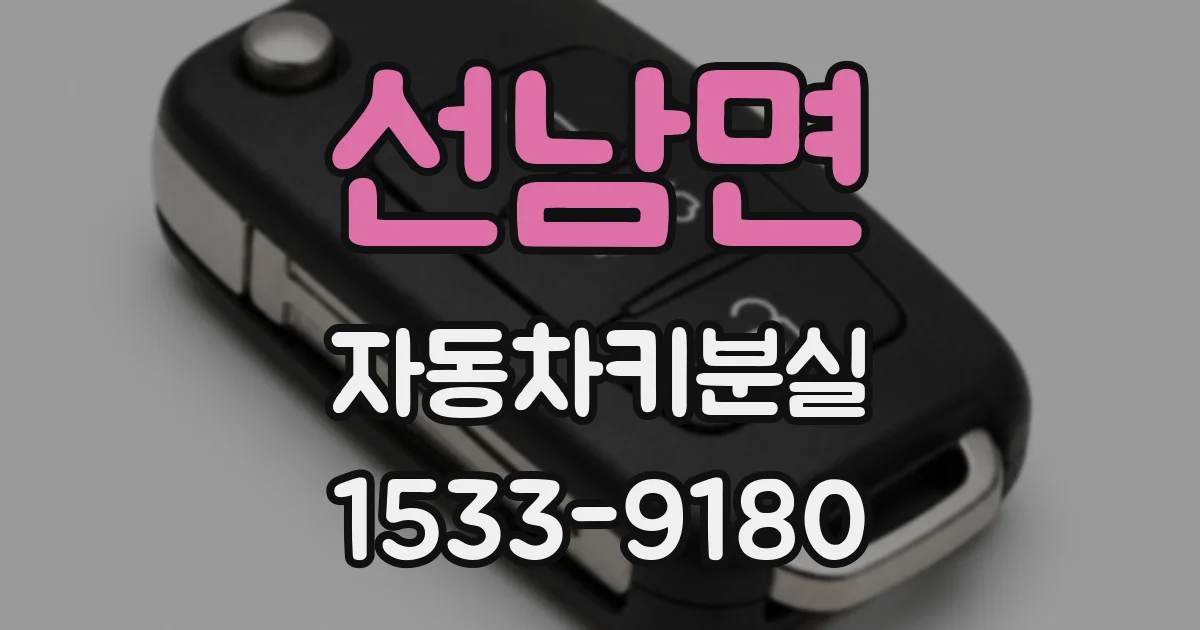 선남면 자동차키분실