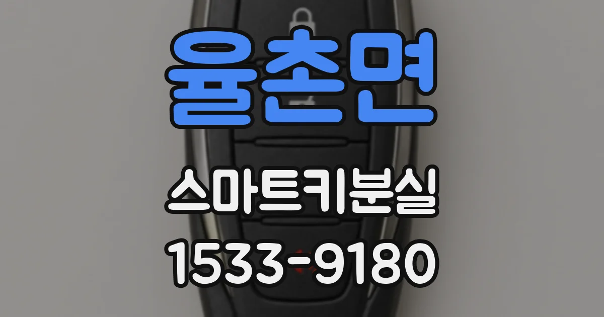율촌면 스마트키분실