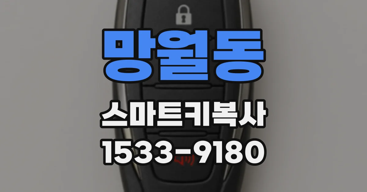 망월동 스마트키복사