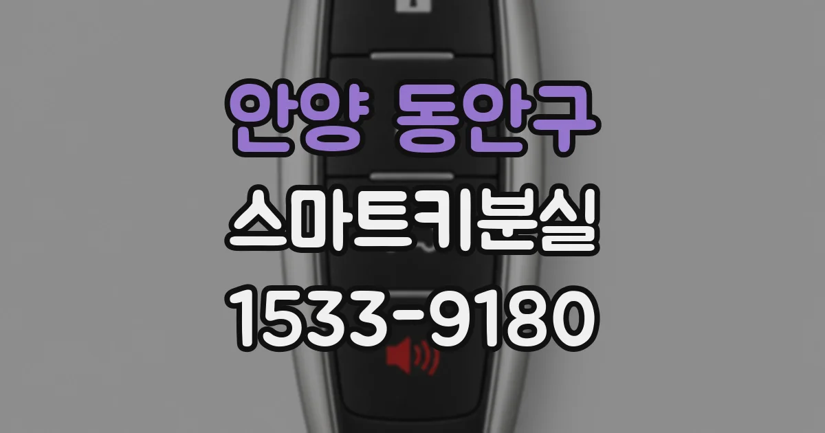 안양 동안구 스마트키분실