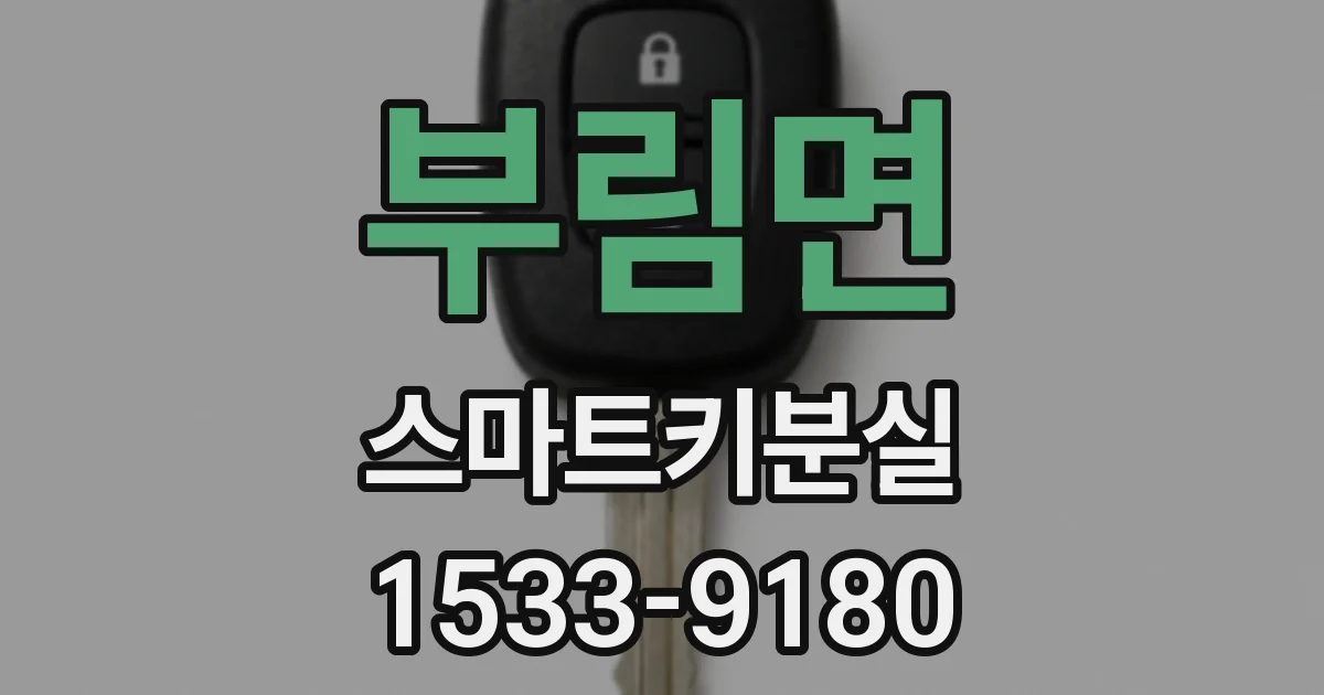 부림면 스마트키분실