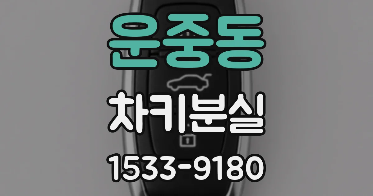 운중동 차키분실