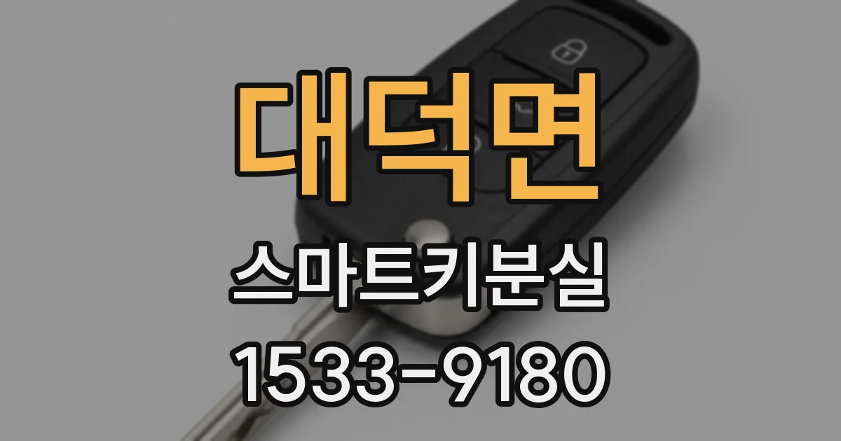 대덕면 스마트키분실
