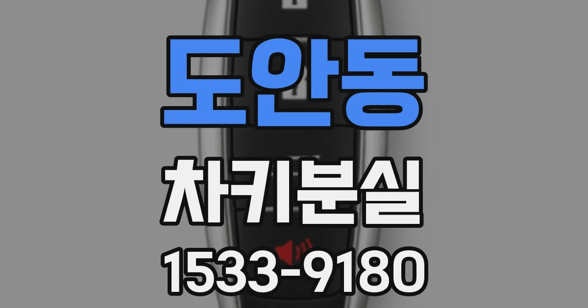도안동 차키분실