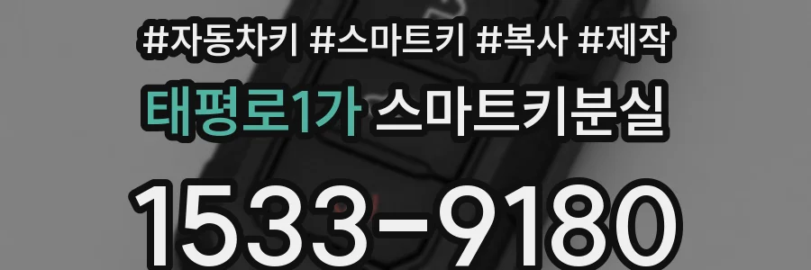 태평로1가 스마트키분실