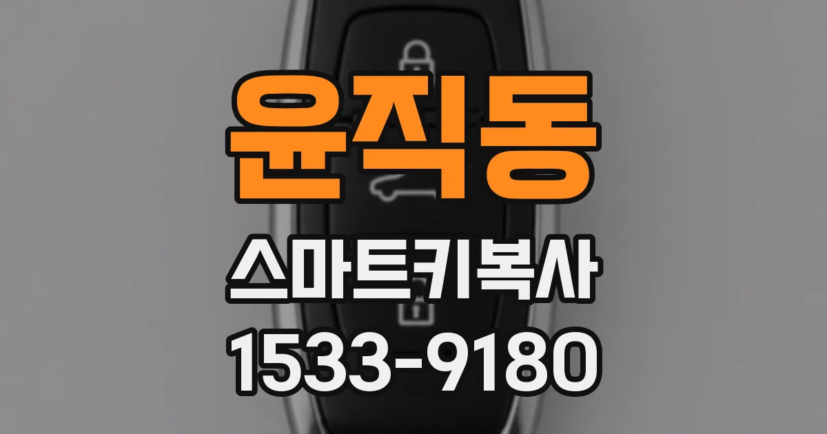 윤직동 스마트키복사