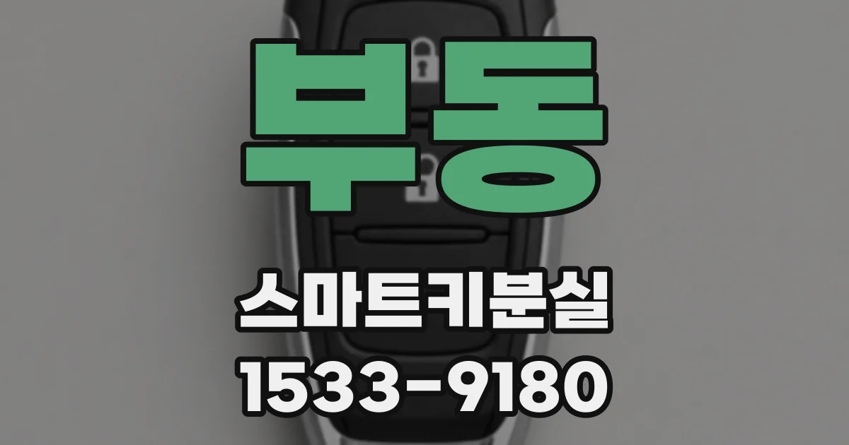 부동 스마트키분실