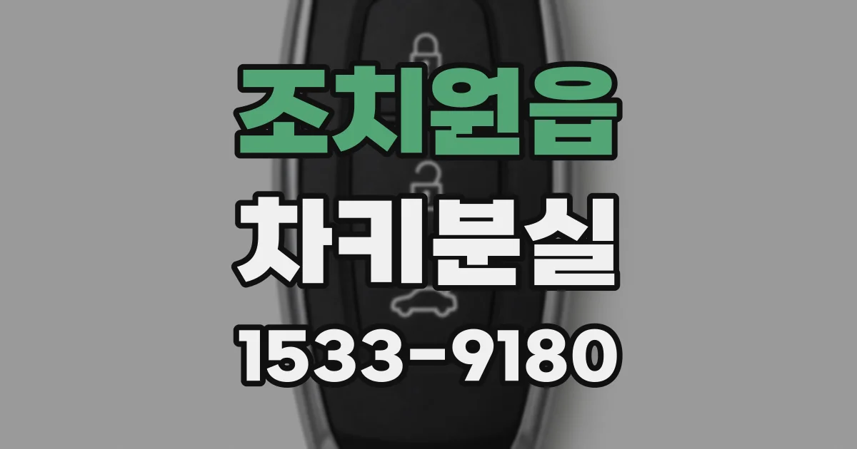 조치원읍 차키분실