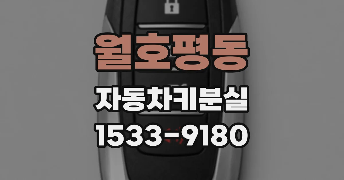 월호평동 자동차키분실