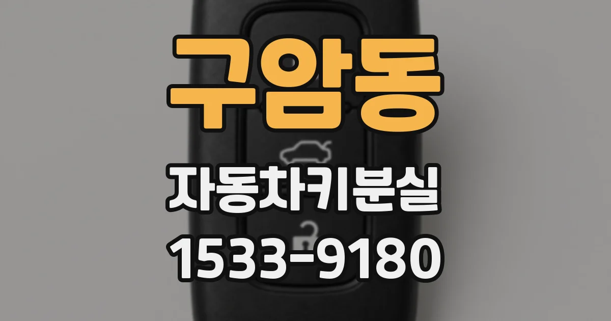 구암동 자동차키분실