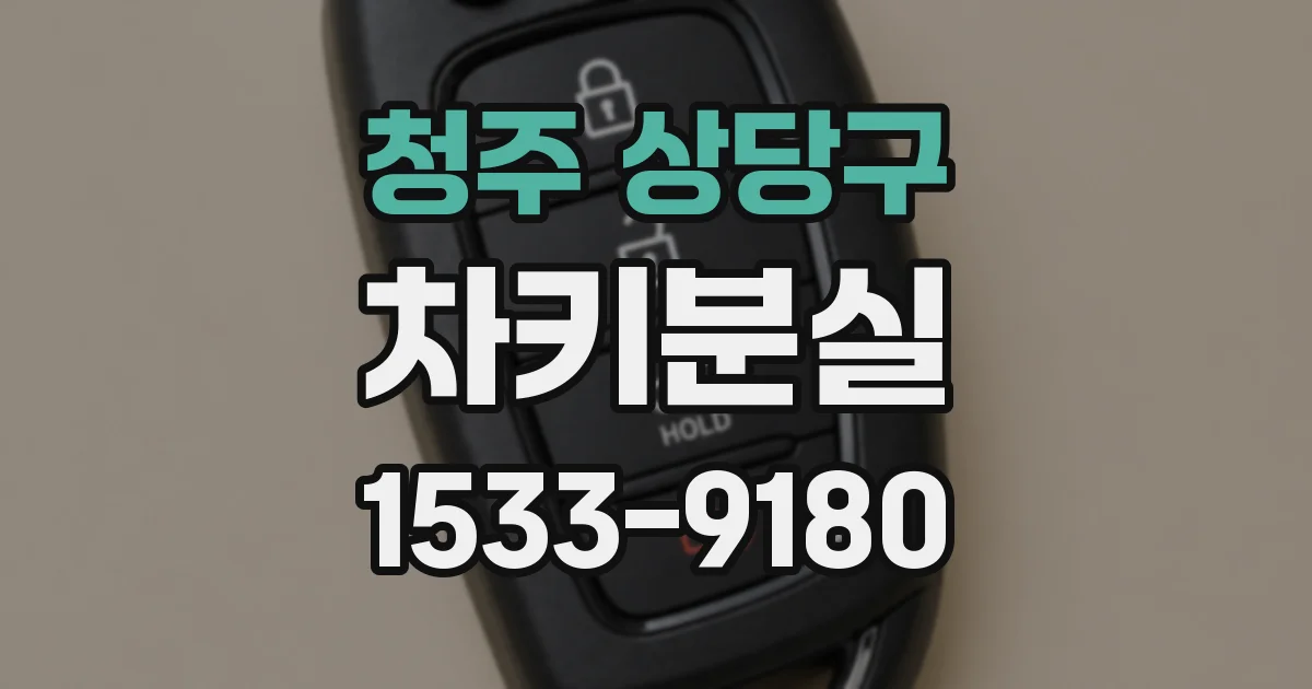청주 상당구 차키분실