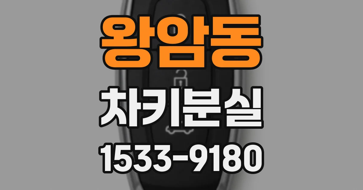 왕암동 차키분실