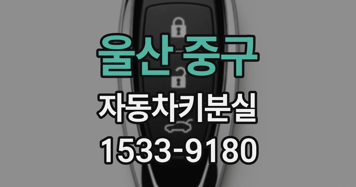 울산 중구 자동차키분실