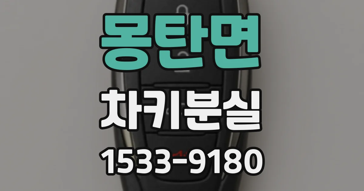 몽탄면 차키분실