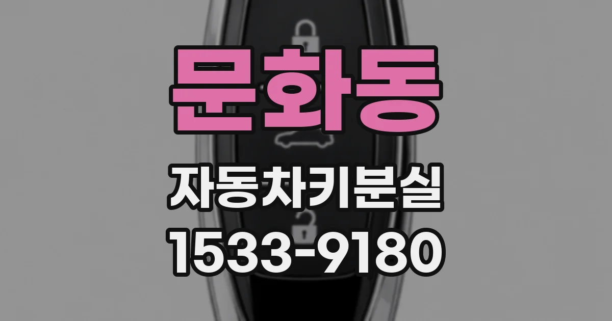 문화동 자동차키분실