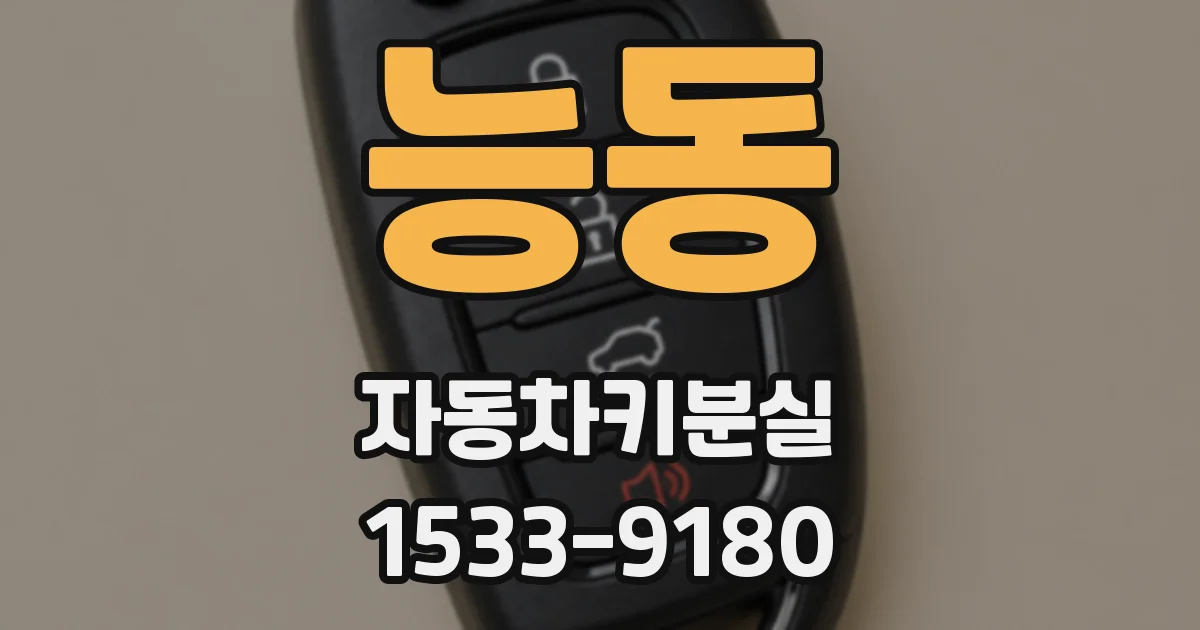 능동 자동차키분실