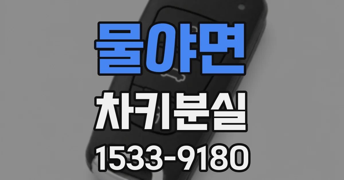 물야면 차키분실