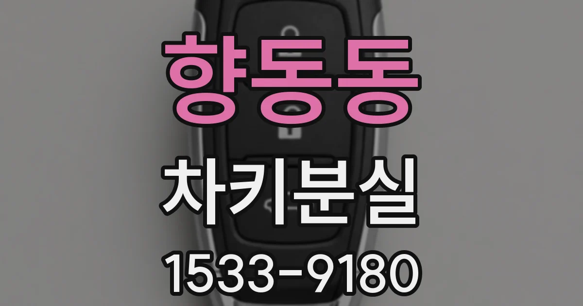 향동동 차키분실