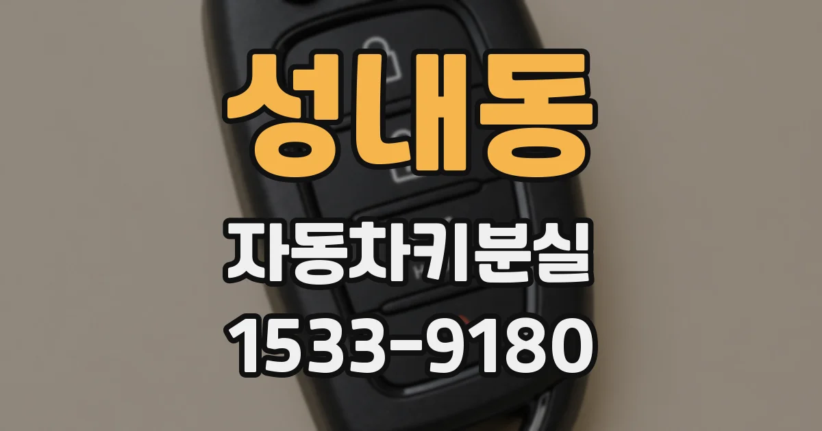 성내동 자동차키분실
