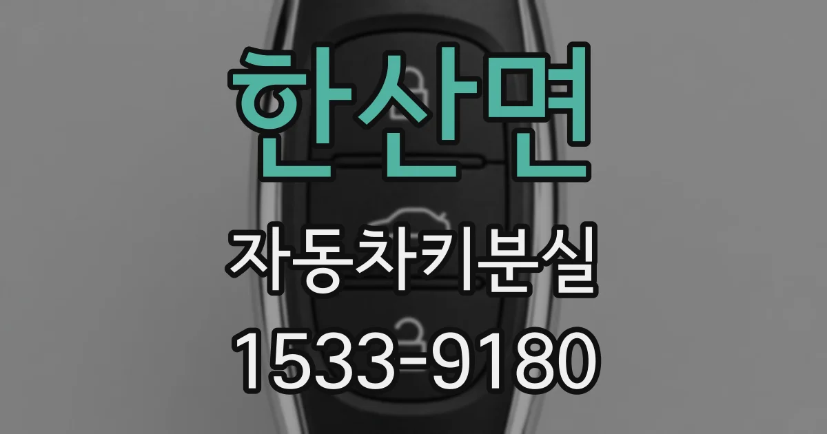 한산면 자동차키분실