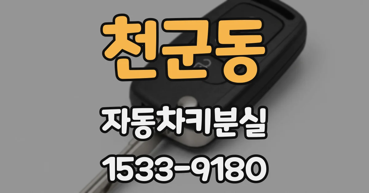 천군동 자동차키분실
