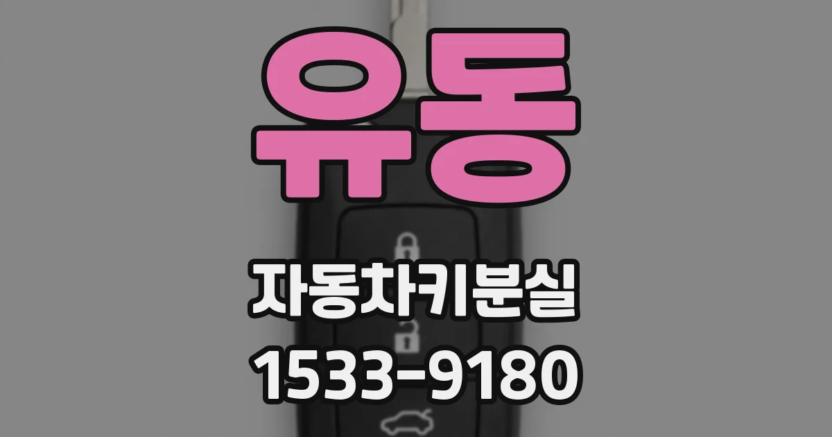 유동 자동차키분실