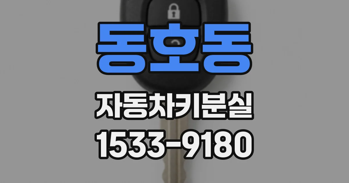 동호동 자동차키분실
