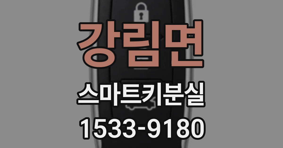 강림면 스마트키분실