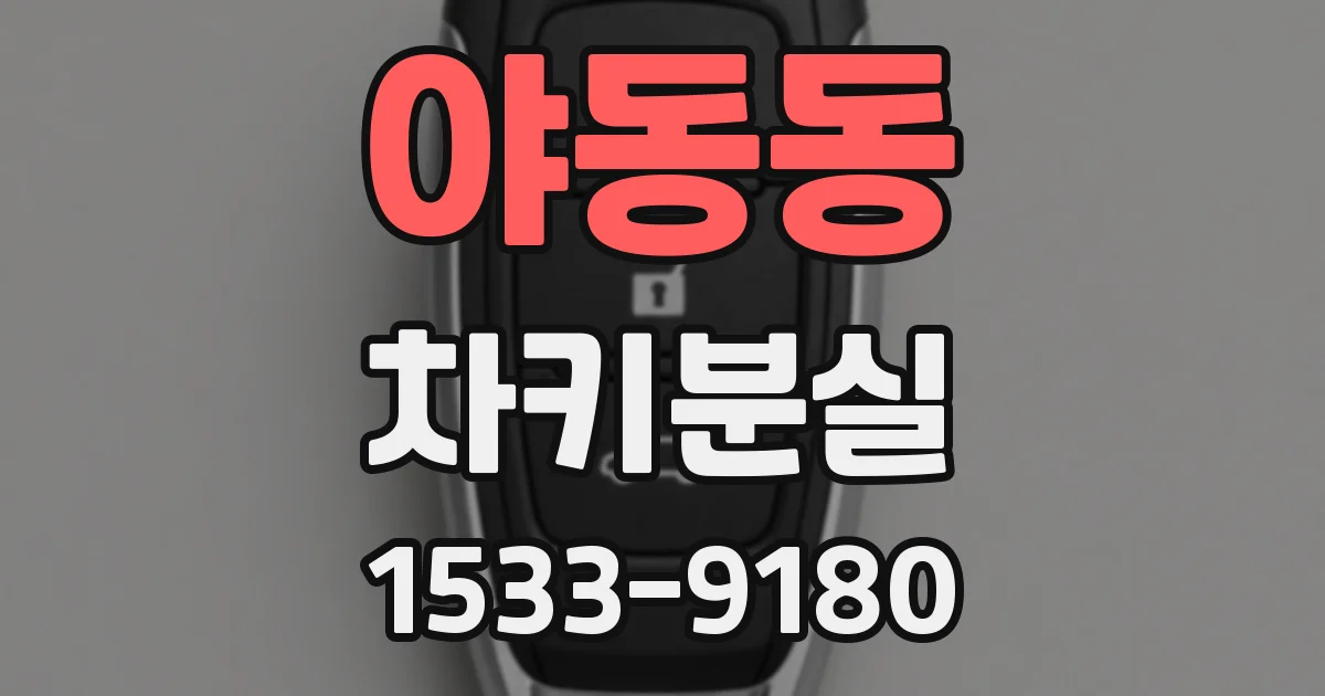 야동동 차키분실