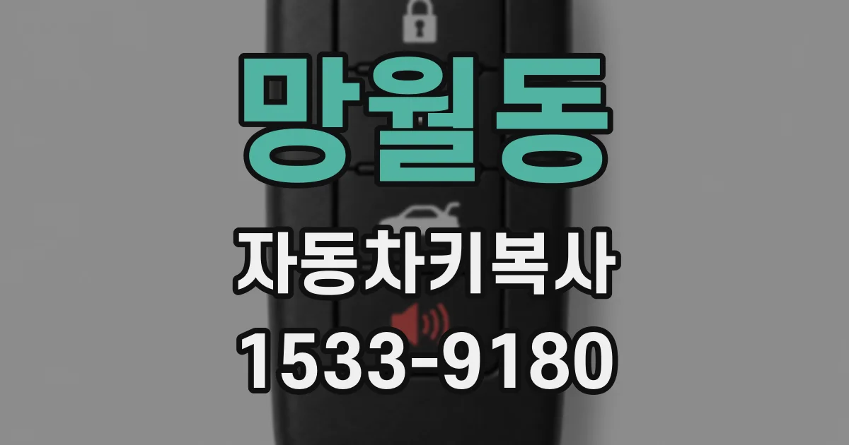 망월동 자동차키복사