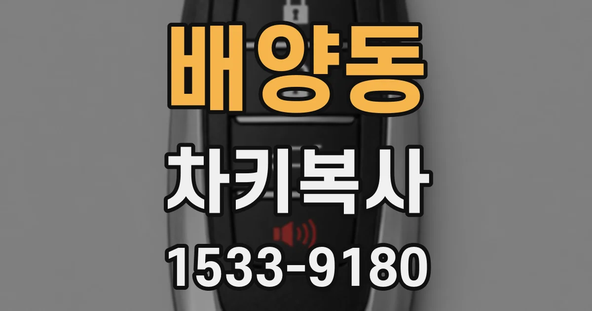 배양동 차키복사