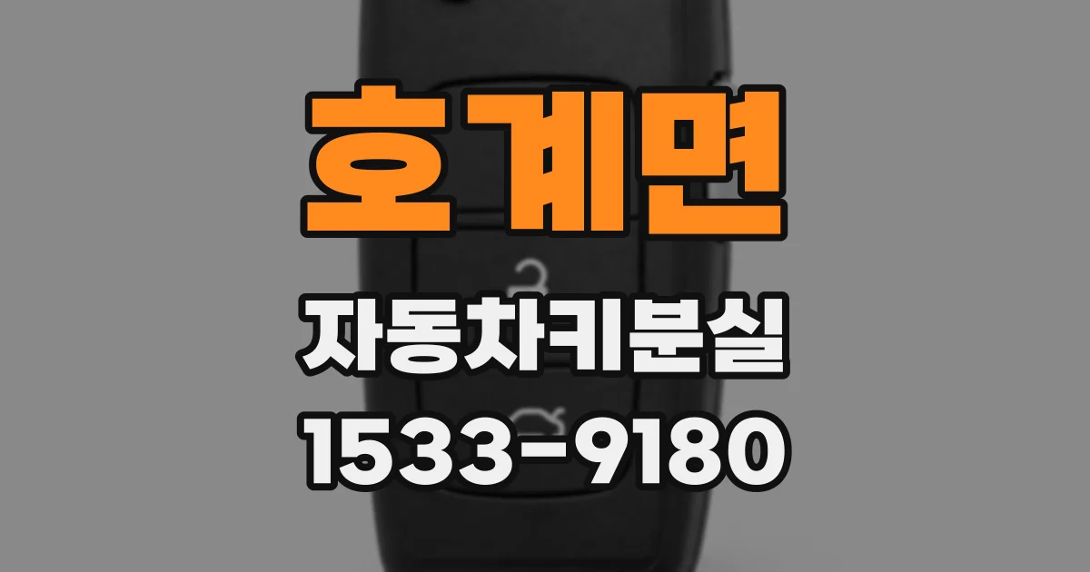 호계면 자동차키분실
