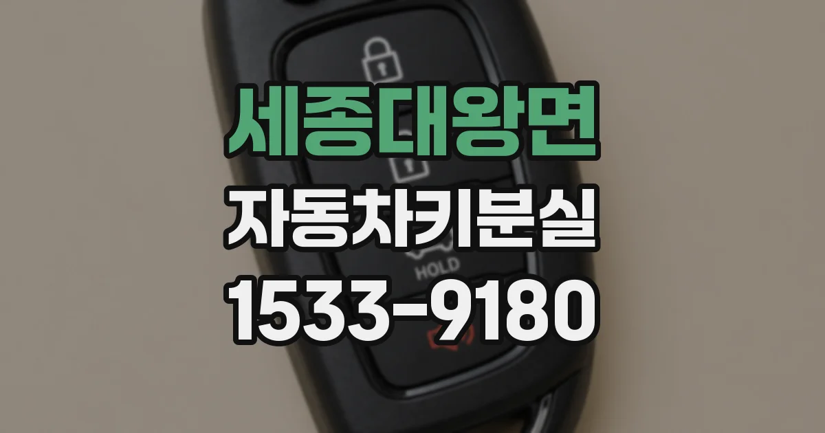 세종대왕면 자동차키분실