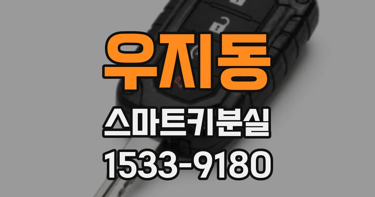 우지동 스마트키분실