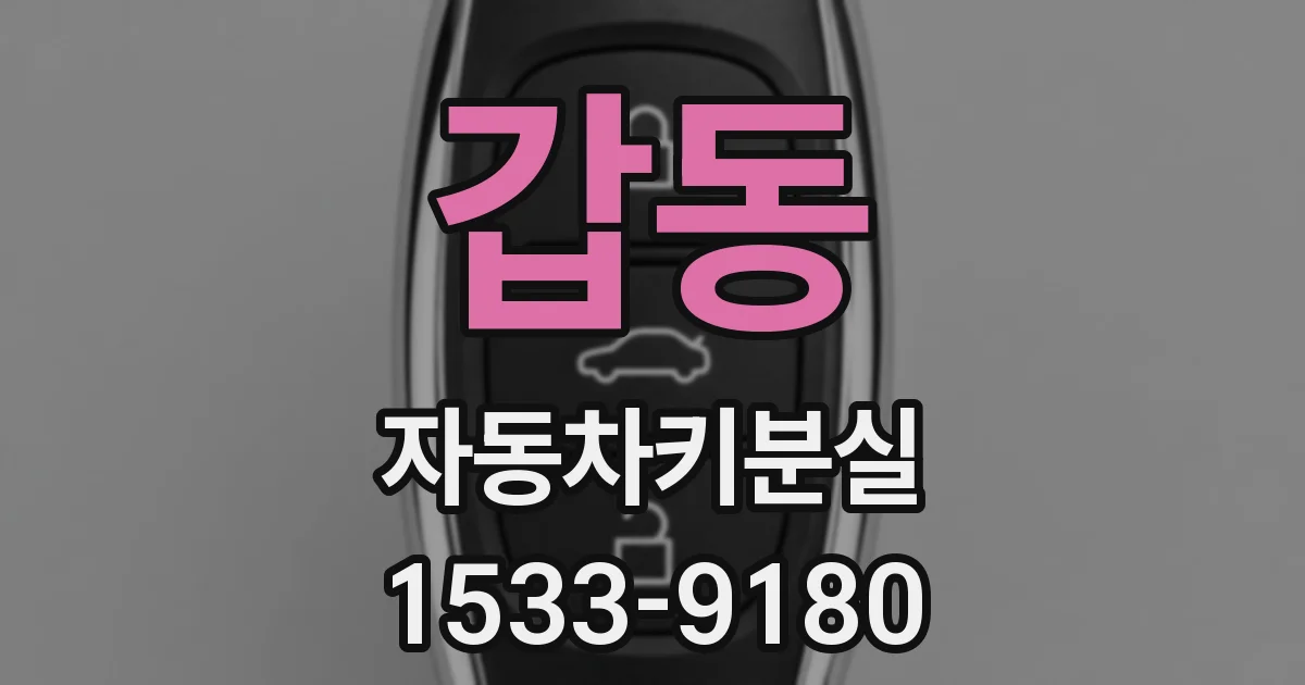 갑동 자동차키분실