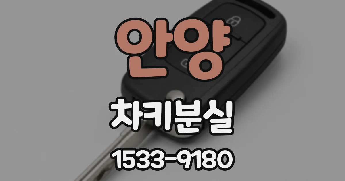 안양 차키분실