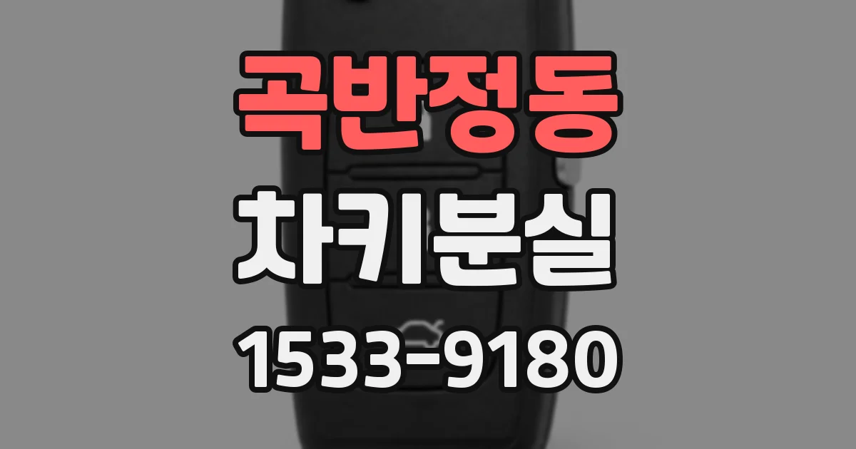 곡반정동 차키분실