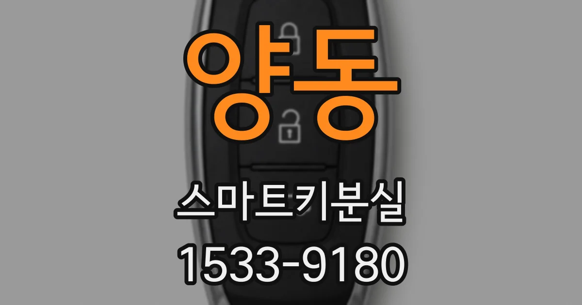 양동 스마트키분실
