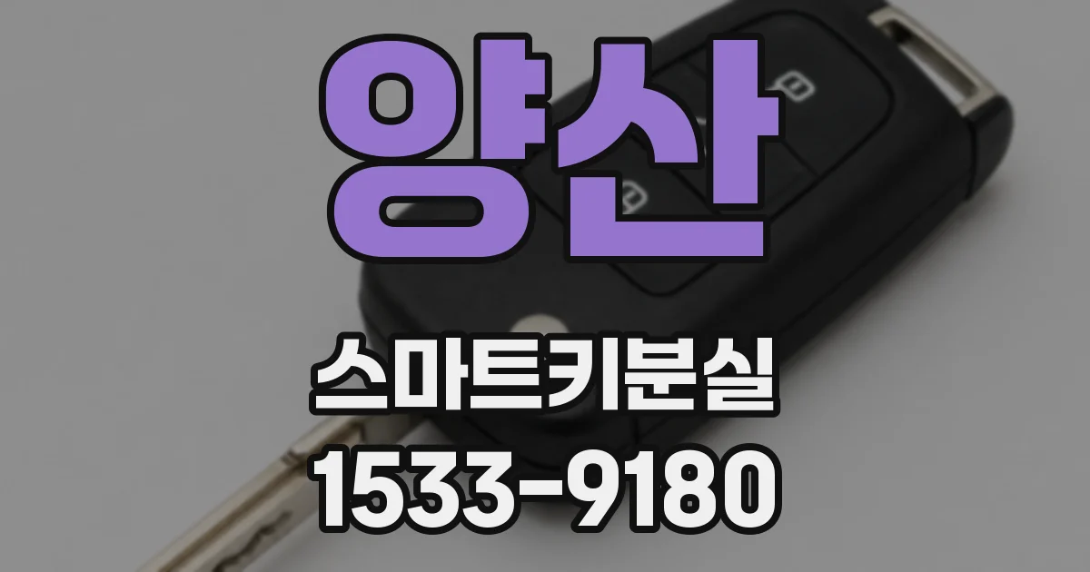 양산 스마트키분실