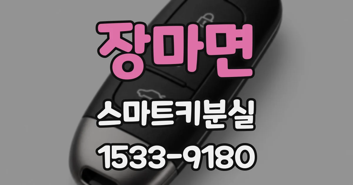 장마면 스마트키분실