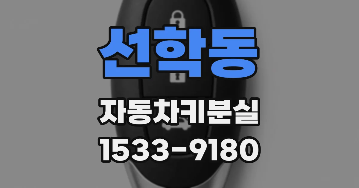 선학동 자동차키분실