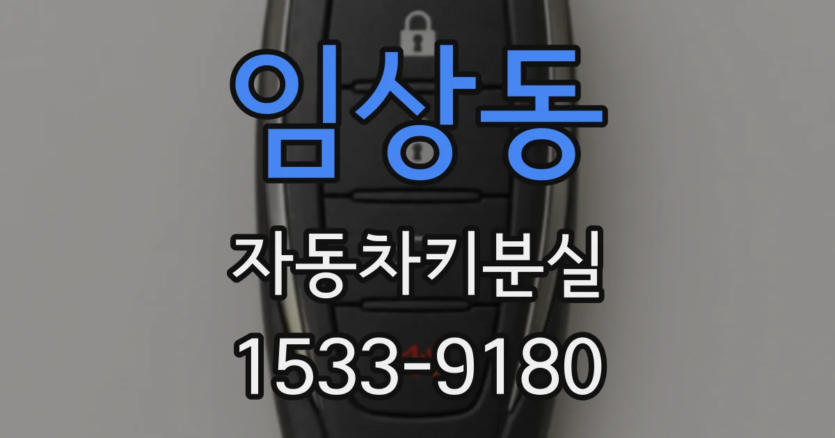 임상동 자동차키분실