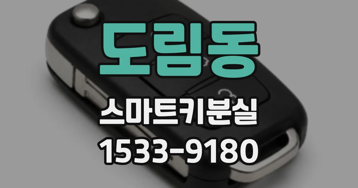 도림동 스마트키분실