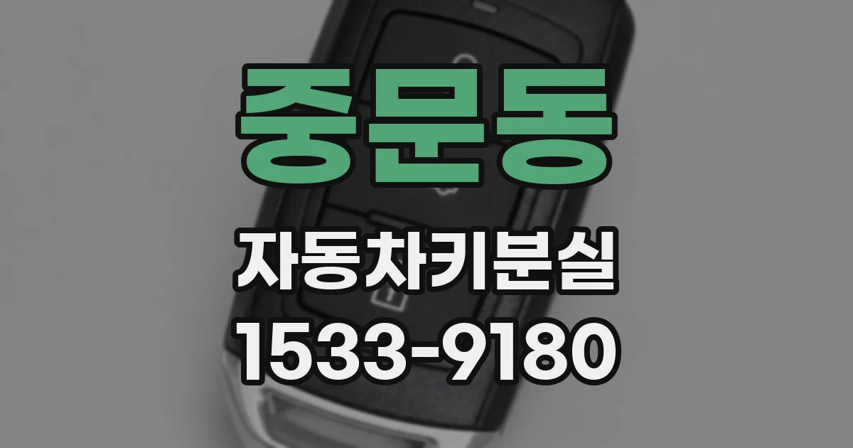중문동 자동차키분실