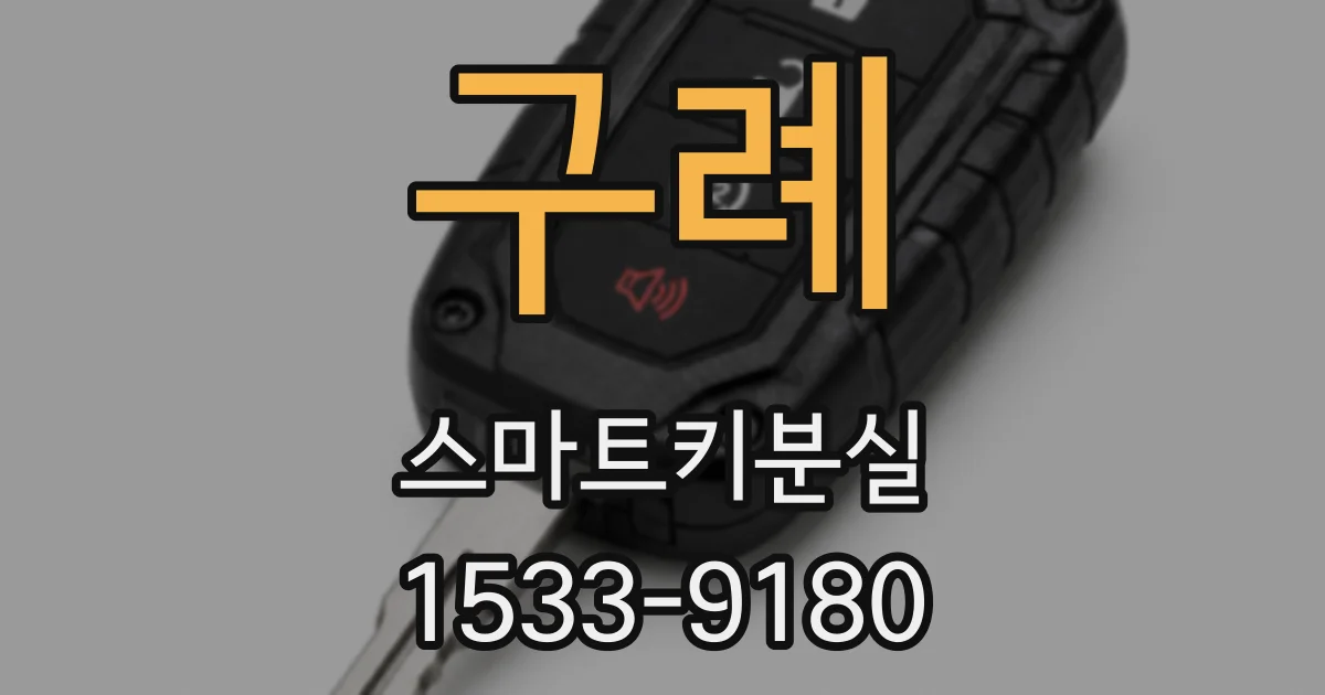 구례 스마트키분실