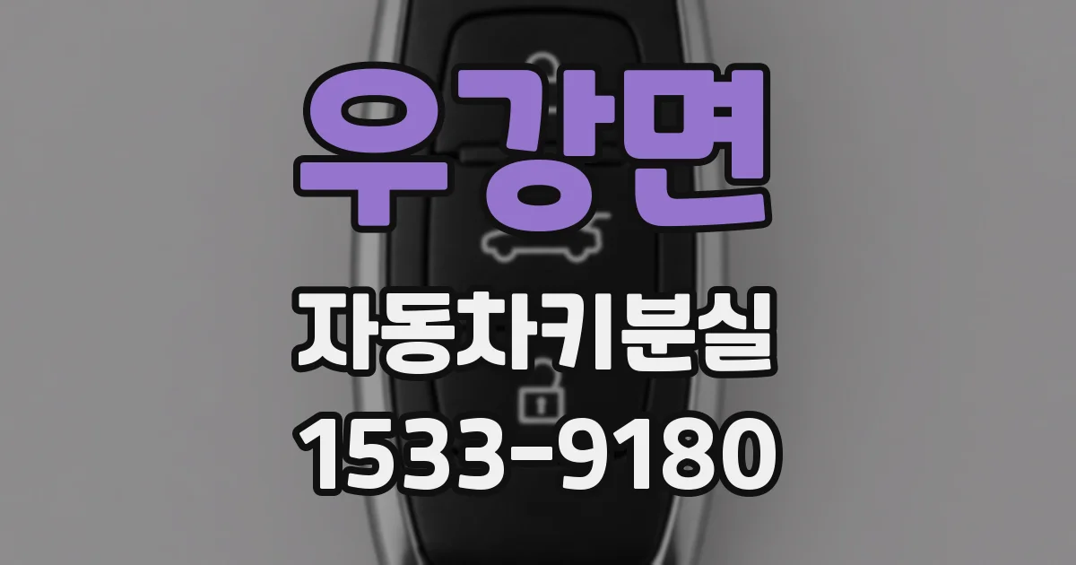 우강면 자동차키분실