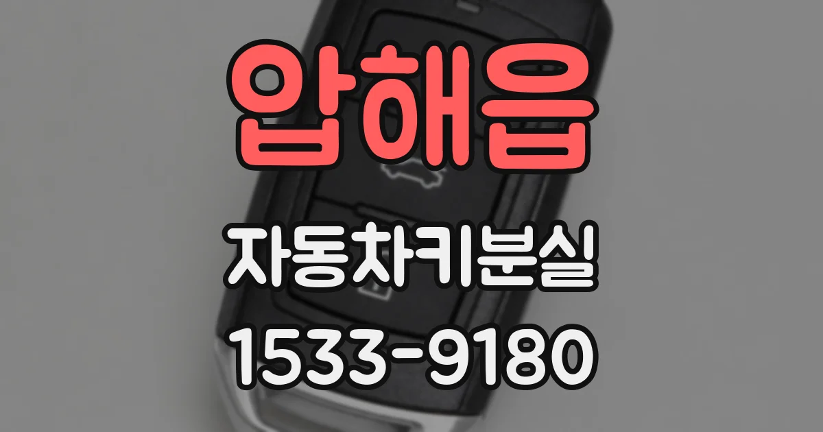 압해읍 자동차키분실